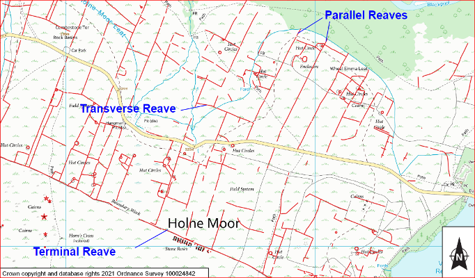 Dartmoor Reaves Map